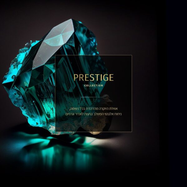 ⁦מטהר אויר SENSES מרוכז PRESTIGE⁩ – תמונה ⁦2⁩