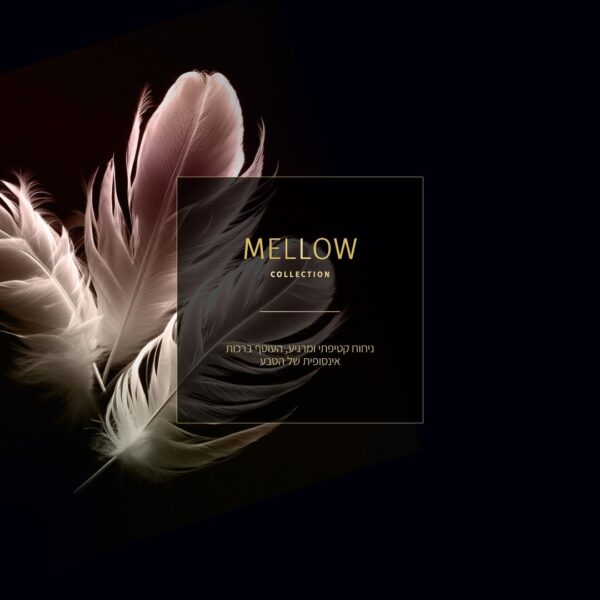 ⁦מנקה ומבשם רצפות מרוכז SENSES MELLOW⁩ – תמונה ⁦2⁩