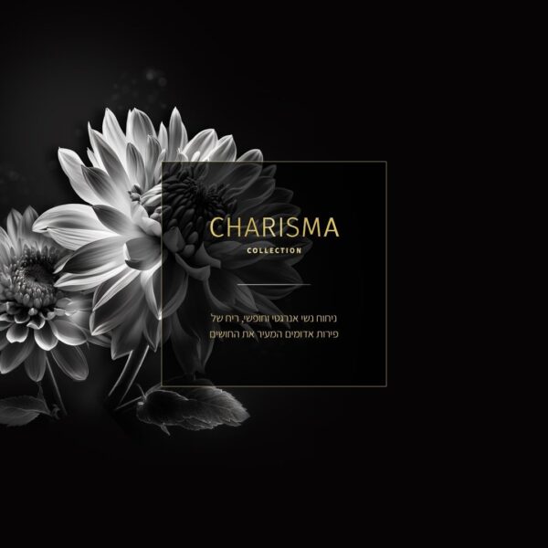⁦מטהר אויר SENSES מרוכז – CHARISMA⁩ – תמונה ⁦2⁩