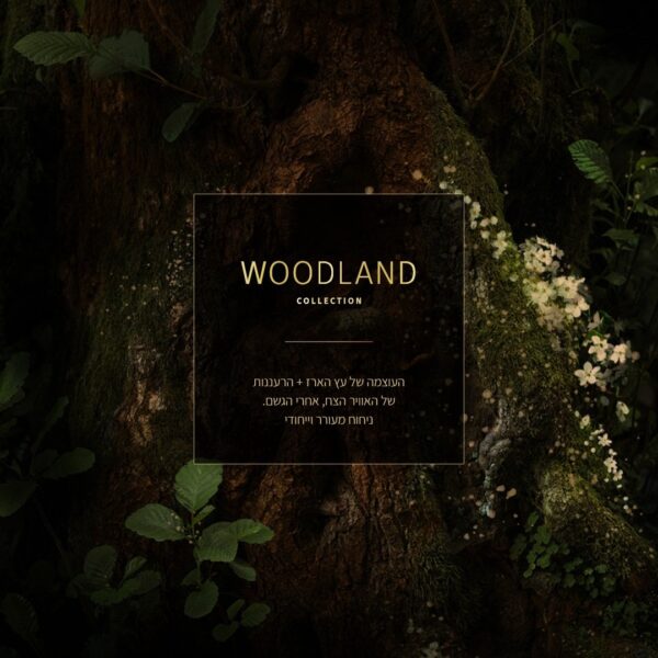 ⁦מטהר אויר SENSES מרוכז -WOODLAND⁩ – תמונה ⁦2⁩