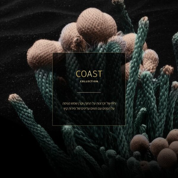 ⁦מטהר אויר SENSES מרוכז – COAST⁩ – תמונה ⁦2⁩