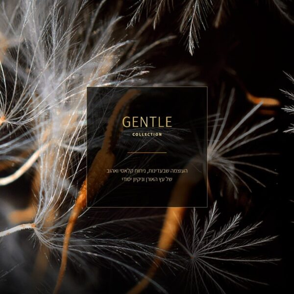 ⁦מטהר אויר SENSES מרוכז – GENTLE⁩ – תמונה ⁦2⁩